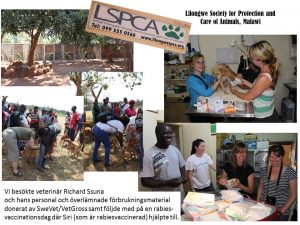 LSPCA_NEW