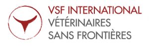 VSFi-version-web-SF